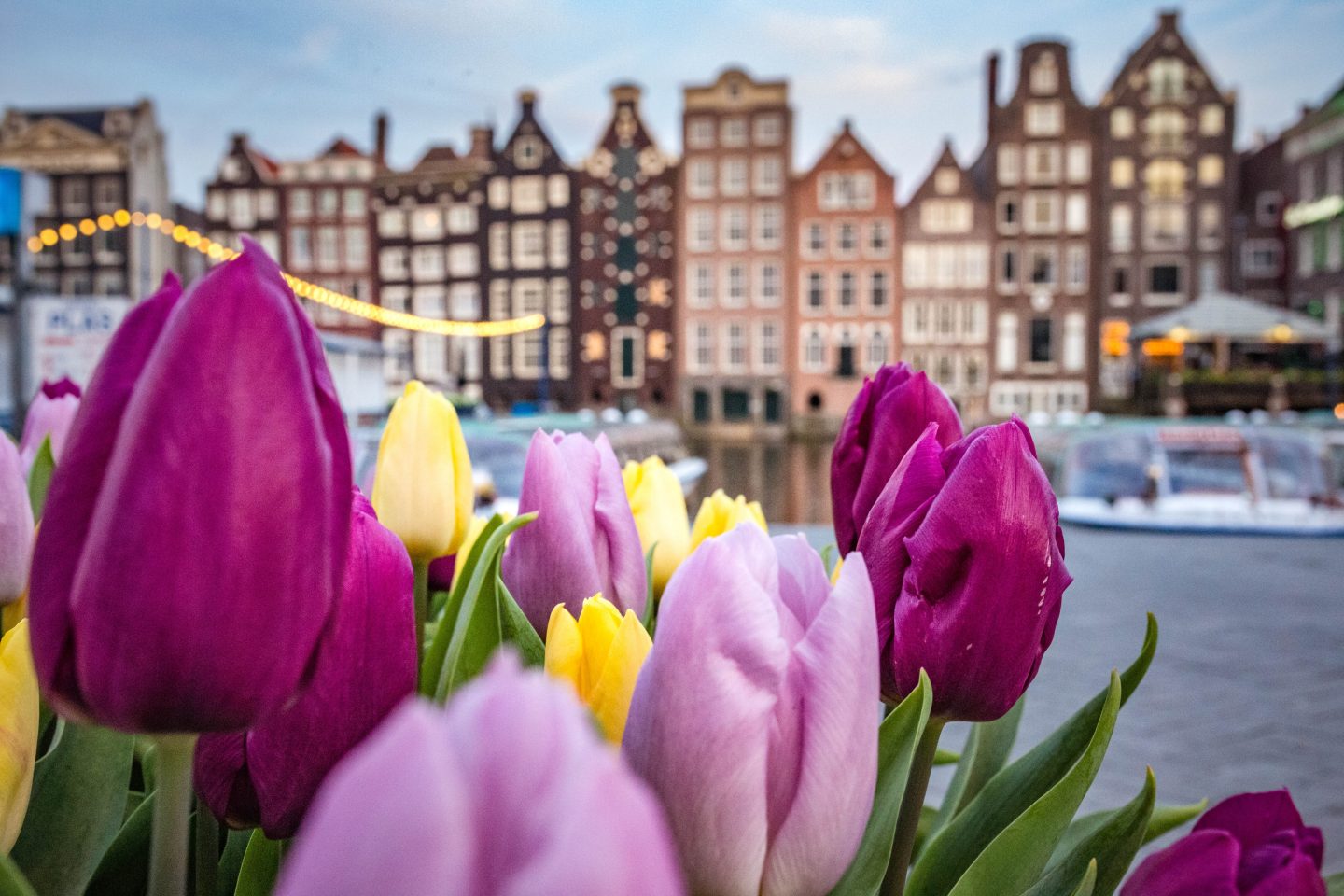 Best time to visit Amsterdam