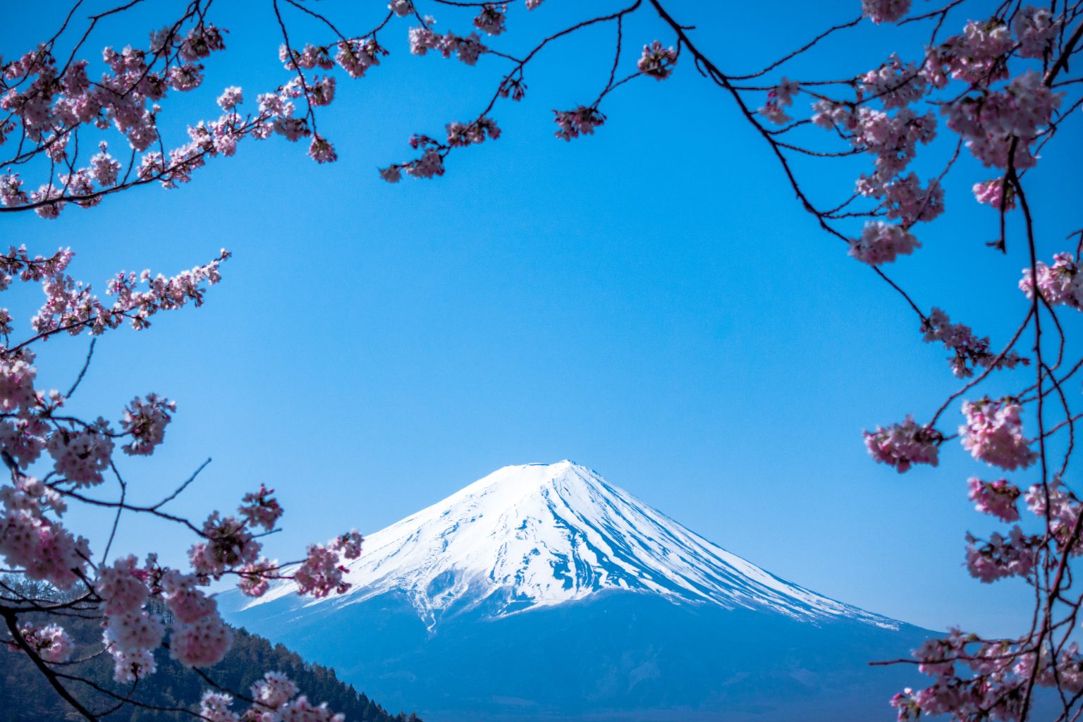 The best time to visit Mount Fuji An overview per season