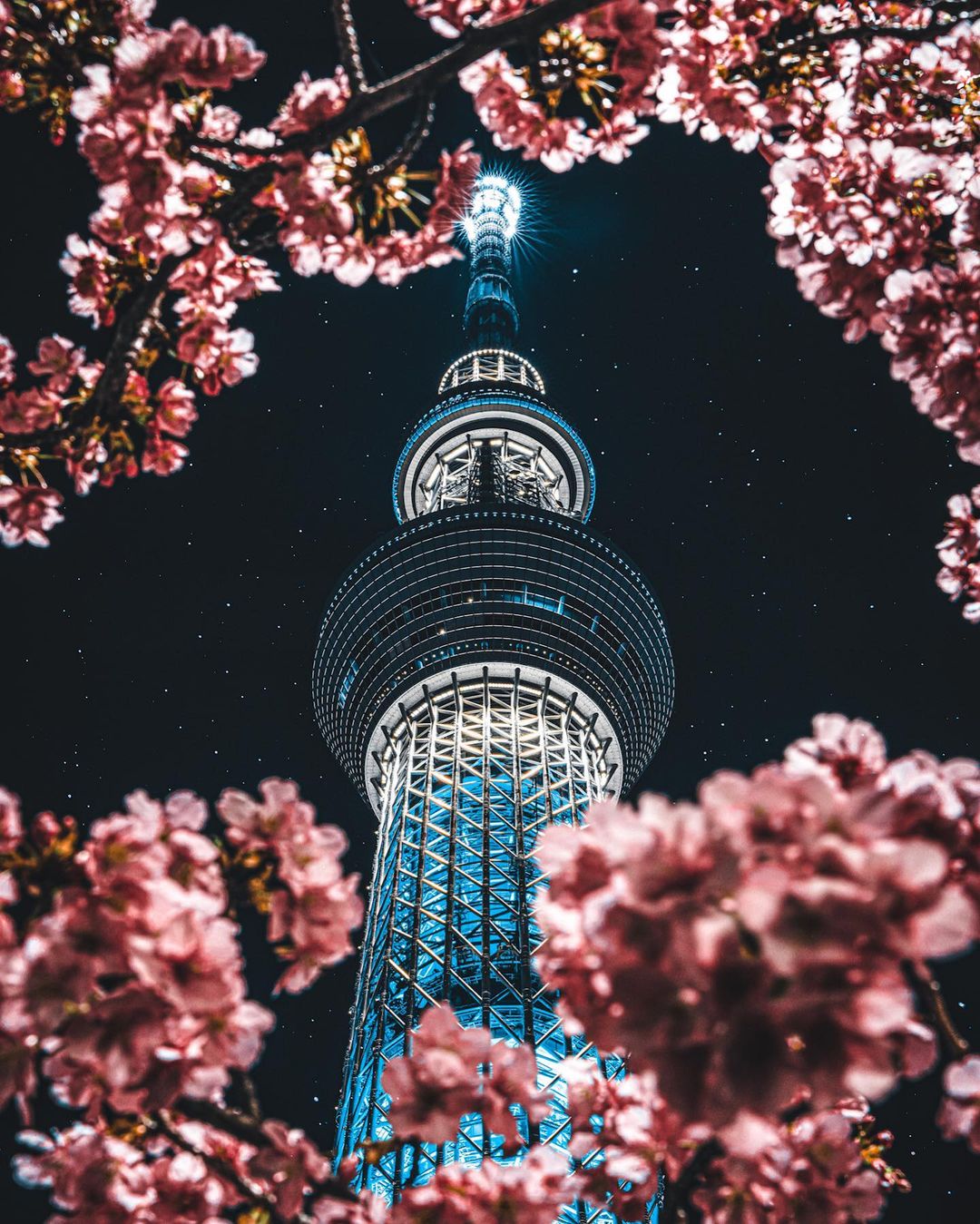 Jungraphy 11