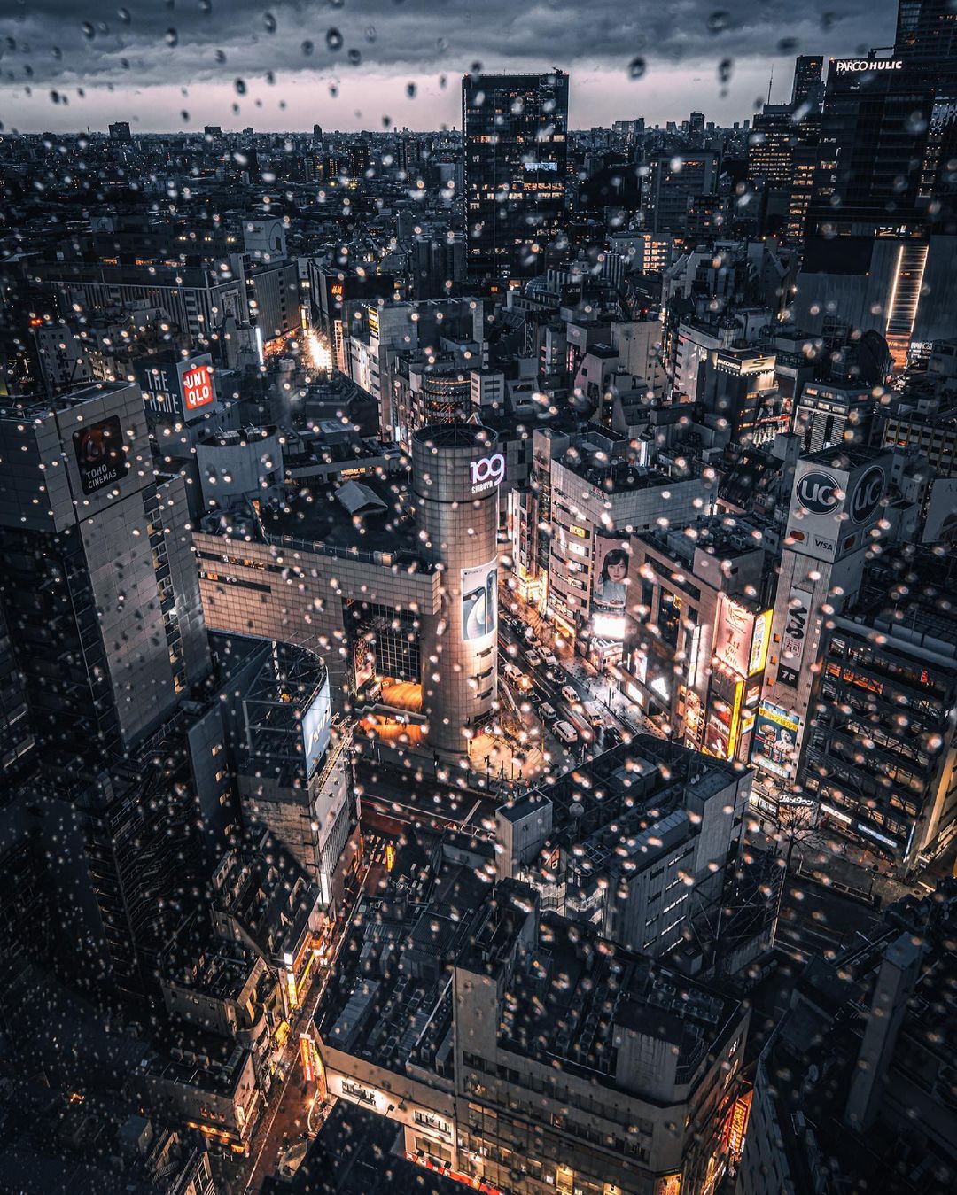 Jungraphy 12