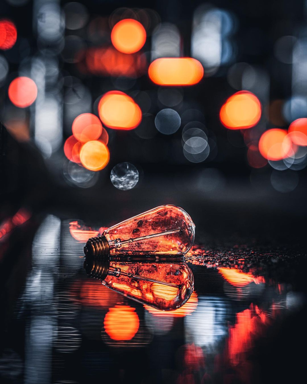 Jungraphy 7