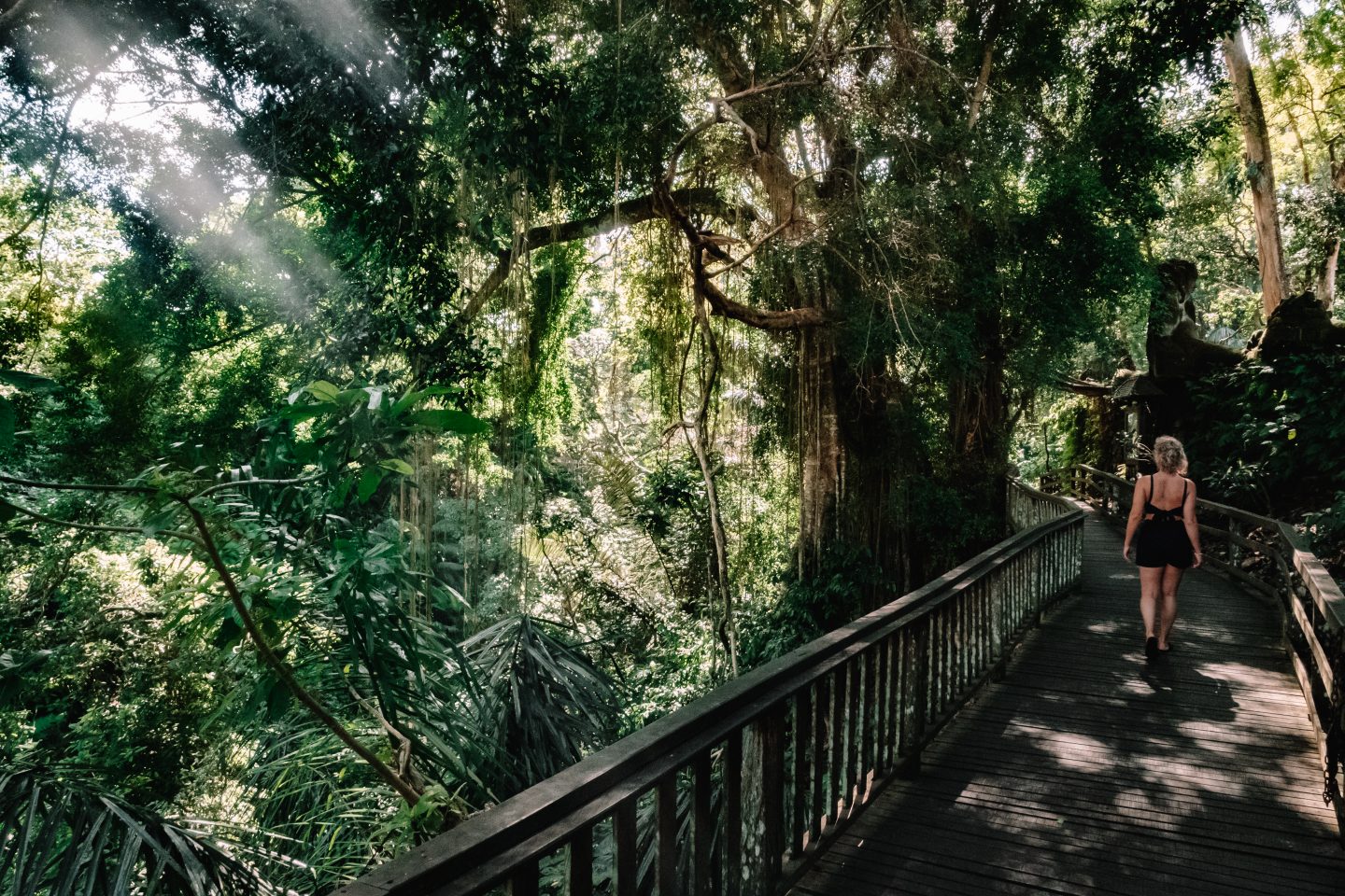 Ubud monkey forest
