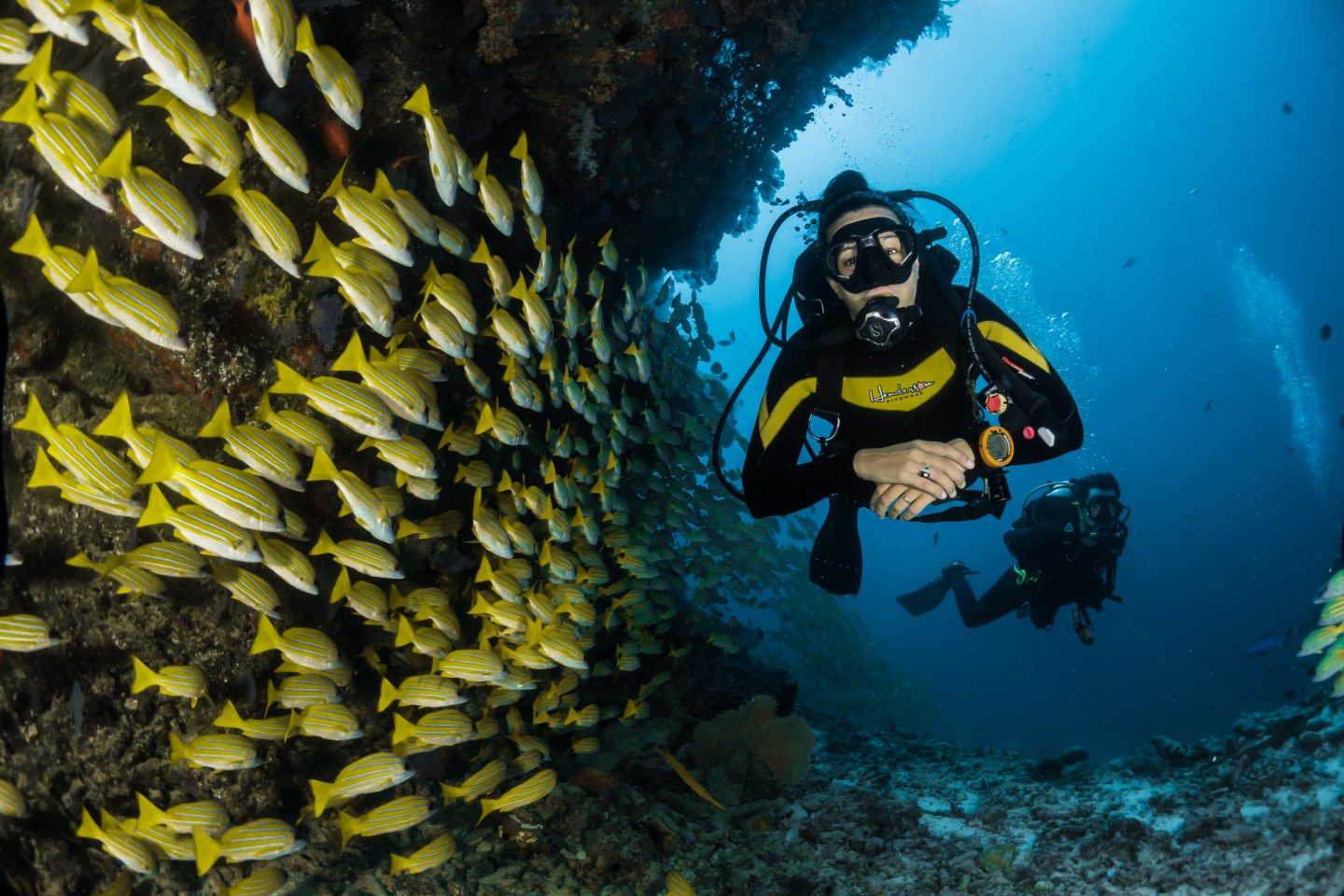 travel jobs as scuba diving instructor
